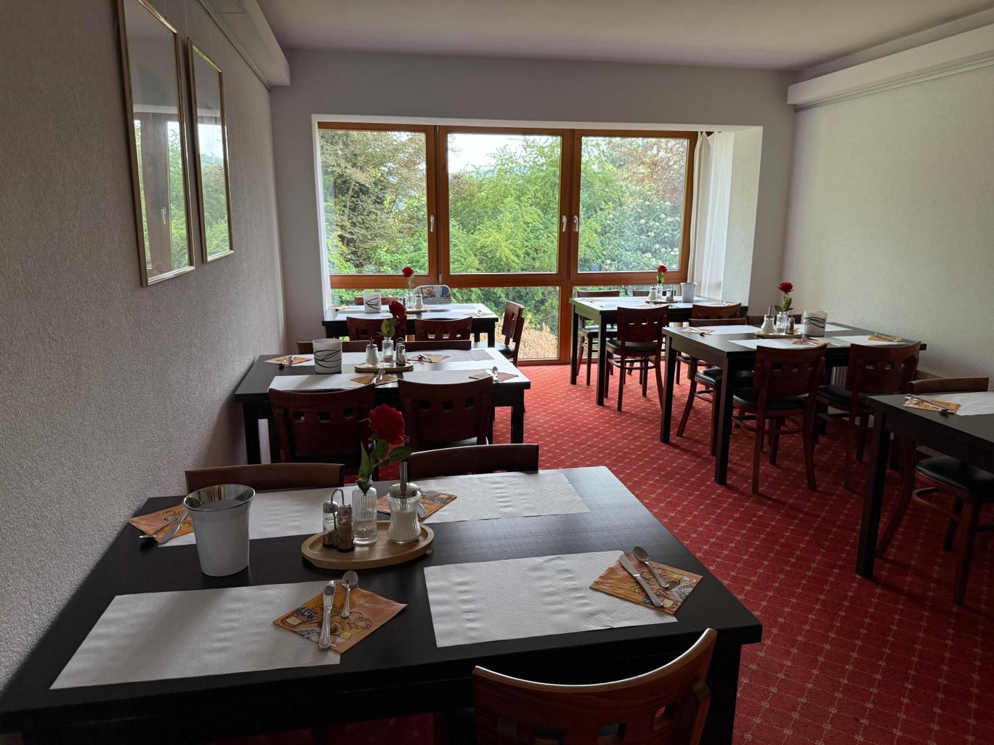 Hotel Schweizerblick Bad Säckingen Dış mekan fotoğraf